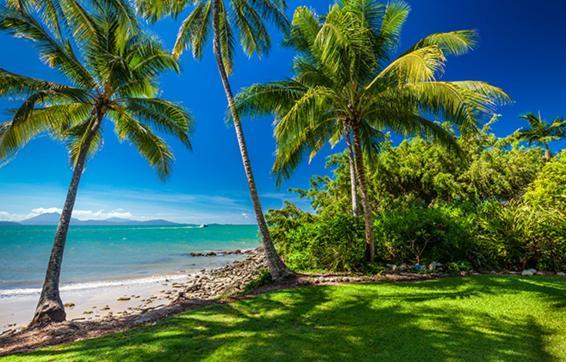 Cosy Studio Port Douglas Dış mekan fotoğraf