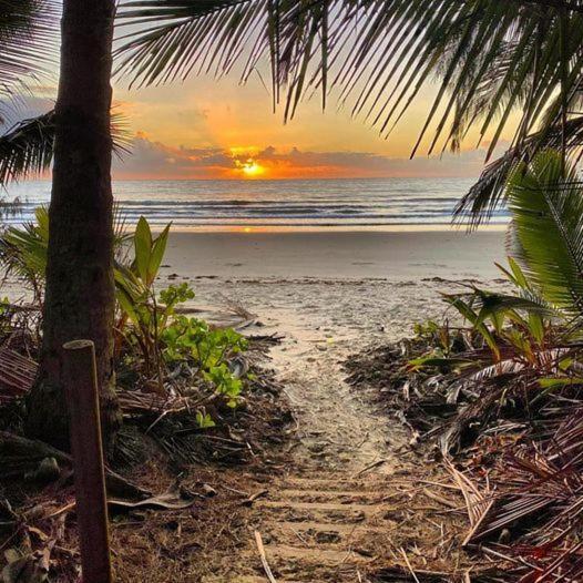 Cosy Studio Port Douglas Dış mekan fotoğraf